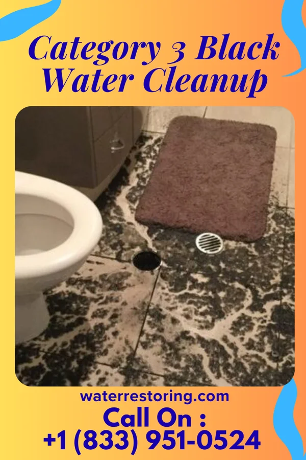 Category 3 Black Water Cleanup in Stafford Courthouse, VA