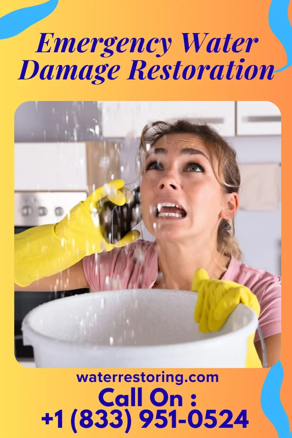 Emergency Water Damage Restoration in Stafford Courthouse, VA