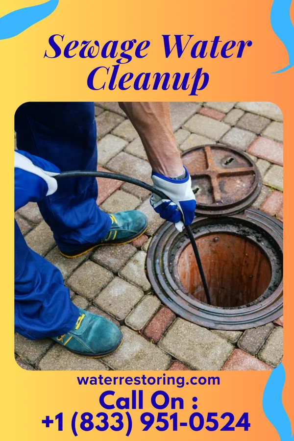 Sewage Water Cleanup in Stafford Courthouse, VA