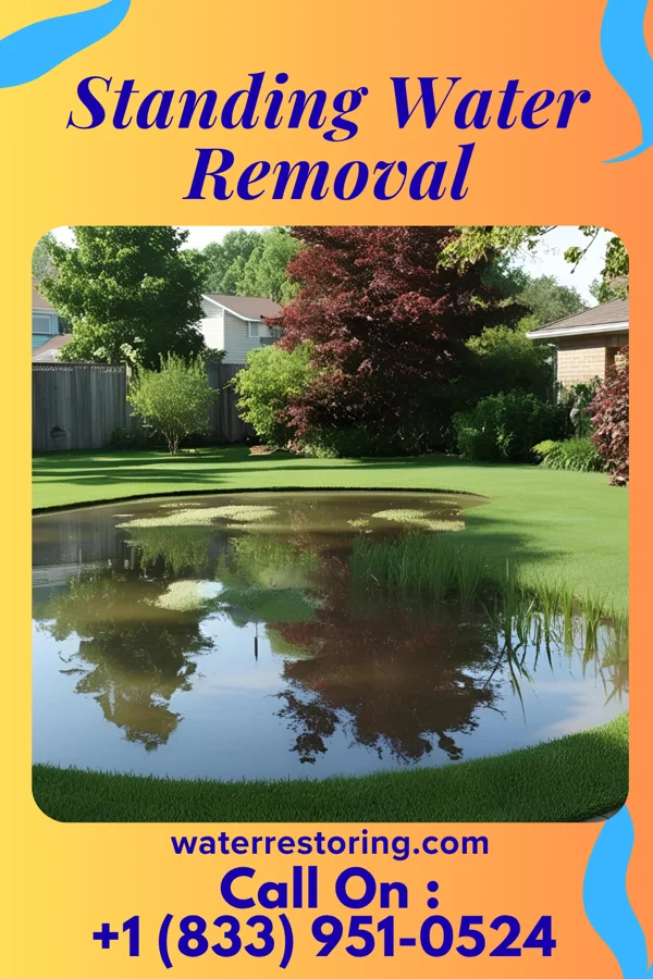 Standing Water Removal in Stafford Courthouse, VA